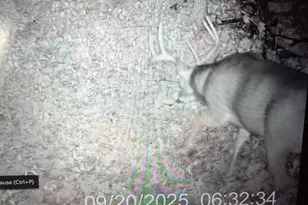 25024 Norhardt Ave, Wellington, WI 54651 - Photo 116