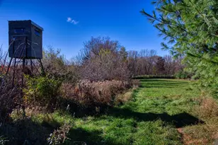 25024 Norhardt Ave, Wellington, WI 54651 - Photo 2