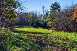 25024 Norhardt Ave, Wellington, WI 54651 - Photo 54