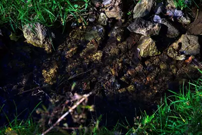 25024  Norhardt Ave, Wellington, WI 54651 - Photo 52