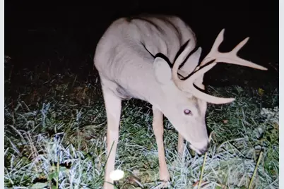 25024  Norhardt Ave, Wellington, WI 54651 - Photo 114