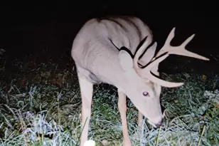 25024 Norhardt Ave, Wellington, WI 54651 - Photo 114