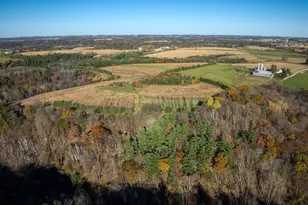 25024 Norhardt Ave, Wellington, WI 54651 - Photo 100