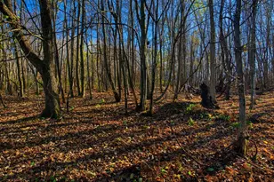 25024 Norhardt Ave, Wellington, WI 54651 - Photo 58