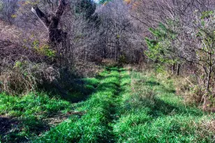 25024 Norhardt Ave, Wellington, WI 54651 - Photo 44