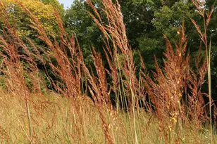 25024 Norhardt Ave, Wellington, WI 54651 - Photo 138