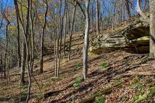 25024 Norhardt Ave, Wellington, WI 54651 - Photo 66