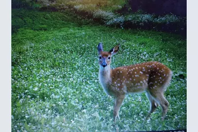 25024  Norhardt Ave, Wellington, WI 54651 - Photo 124