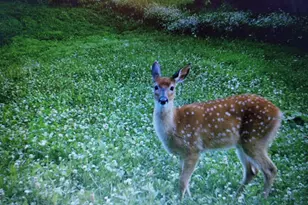 25024 Norhardt Ave, Wellington, WI 54651 - Photo 124