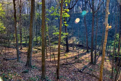 25024  Norhardt Ave, Wellington, WI 54651 - Photo 74