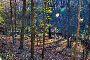 25024 Norhardt Ave, Wellington, WI 54651 - Photo 74