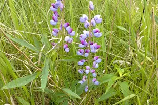 25024 Norhardt Ave, Wellington, WI 54651 - Photo 136