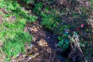 25024 Norhardt Ave, Wellington, WI 54651 - Photo 50