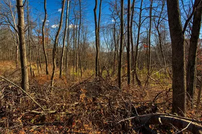 0  Turben Ridge Rd, Clayton, WI 54655 - Photo 8