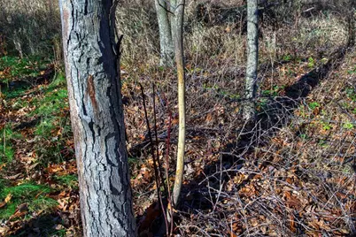 0  Turben Ridge Rd, Clayton, WI 54655 - Photo 10