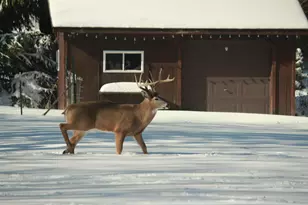 902 Lake Dr, South Milwaukee, WI 53172 - Photo 44