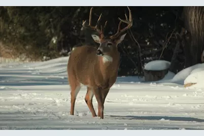 902  Lake Dr, South Milwaukee, WI 53172 - Photo 46