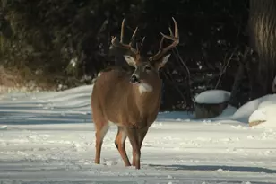 902 Lake Dr, South Milwaukee, WI 53172 - Photo 46