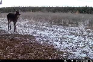 1565 State Hwy 71 -, Little Falls, WI 54656 - Photo 40