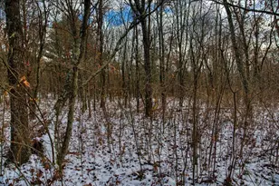 1565 State Hwy 71 -, Little Falls, WI 54656 - Photo 54