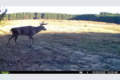 1565  State Highway 71 -, Little Falls, WI 54656 - Photo 34