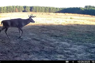 1565 State Hwy 71 -, Little Falls, WI 54656 - Photo 34