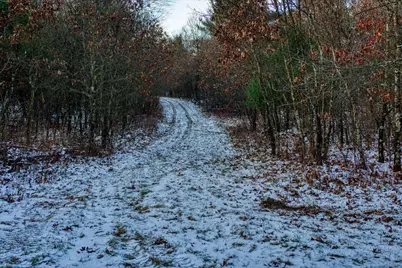 1565  State Highway 71 -, Little Falls, WI 54656 - Photo 48