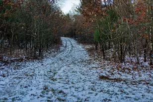 1565 State Hwy 71 -, Little Falls, WI 54656 - Photo 48