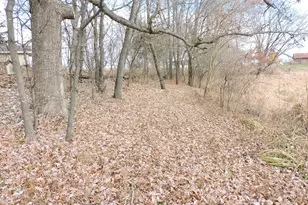 W9007 County Rd C, Oakland, WI 53523 - Photo 32