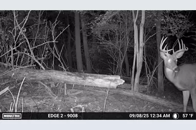 N456  Stoney Birch Rd, Sherman, WI 53075 - Photo 40