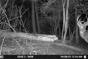 N456 Stoney Birch Rd, Sherman, WI 53075 - Photo 40