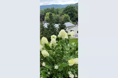 203  Eagles Bluff Rd, La Crescent, MN 55947 - Photo 40