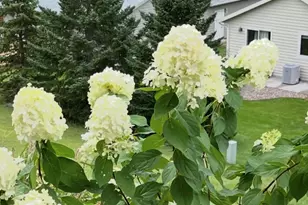 203 Eagles Bluff Rd, La Crescent, MN 55947 - Photo 40