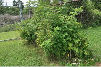 1800  12th Ave, Somers, WI 53140 - Photo 20