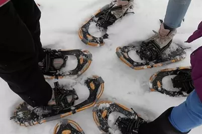 8782  Woodbridge Dr, Greendale, WI 53219 - Photo 30