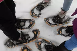 8782 Woodbridge Dr, Greendale, WI 53219 - Photo 30