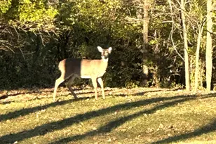 11901 Fox River Rd, Salem Lakes, WI 53192 - Photo 8