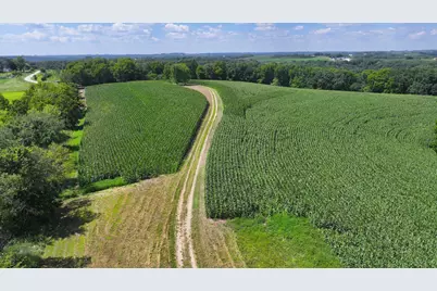 14096  Turben Ridge Rd, Clayton, WI 54655 - Photo 6