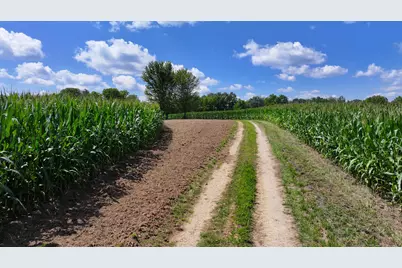 14096  Turben Ridge Rd, Clayton, WI 54655 - Photo 8