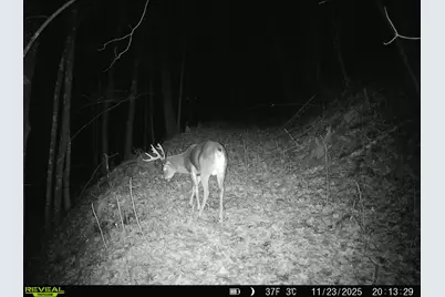 14096  Turben Ridge Rd, Clayton, WI 54655 - Photo 52