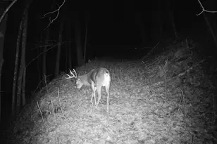 14096 Turben Ridge Rd, Clayton, WI 54655 - Photo 52