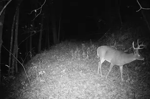 14096 Turben Ridge Rd, Clayton, WI 54655 - Photo 56