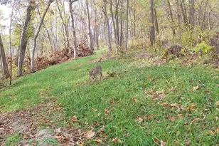 14096 Turben Ridge Rd, Clayton, WI 54655 - Photo 48