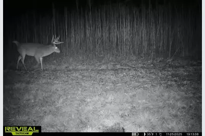 14096  Turben Ridge Rd, Clayton, WI 54655 - Photo 50