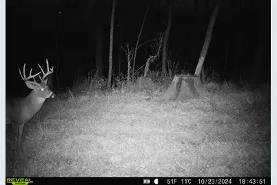 14096  Turben Ridge Rd, Clayton, WI 54655 - Photo 34