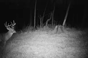 14096 Turben Ridge Rd, Clayton, WI 54655 - Photo 34