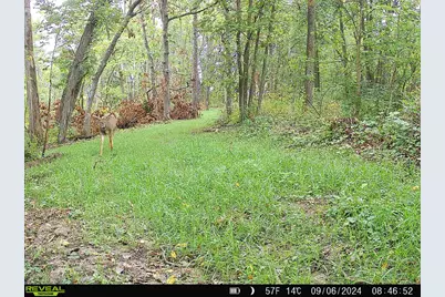 14096  Turben Ridge Rd, Clayton, WI 54655 - Photo 40