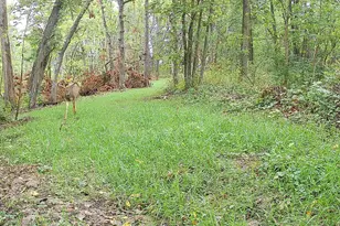 14096 Turben Ridge Rd, Clayton, WI 54655 - Photo 40