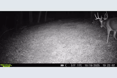 14096  Turben Ridge Rd, Clayton, WI 54655 - Photo 32