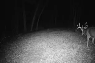 14096 Turben Ridge Rd, Clayton, WI 54655 - Photo 32